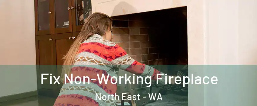 Fix Non-Working Fireplace North East - WA