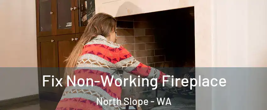 Fix Non-Working Fireplace North Slope - WA