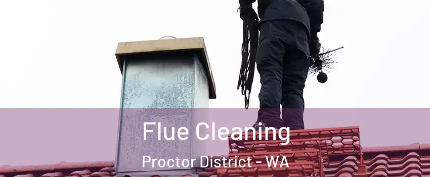 Flue Cleaning Proctor District - WA