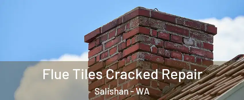 Flue Tiles Cracked Repair Salishan - WA