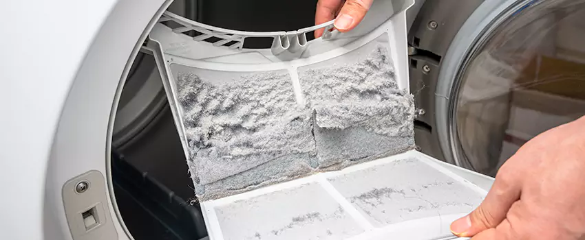 Best Dryer Lint Removal Company in Proctor District, Washington