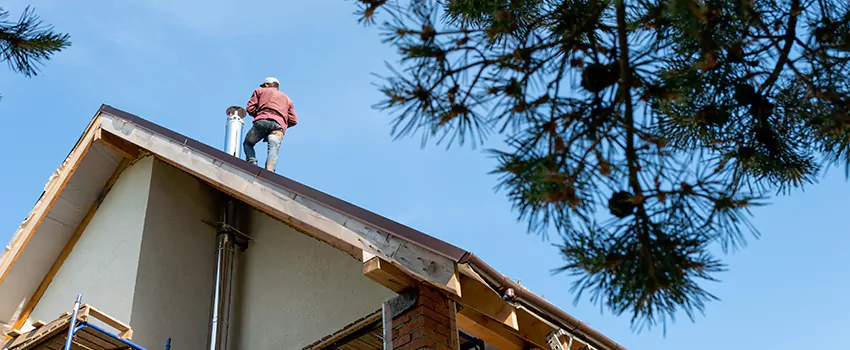 Birds Removal Contractors from Chimney in West End, WA