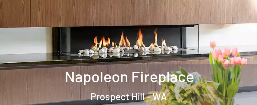 Napoleon Fireplace Prospect Hill - WA