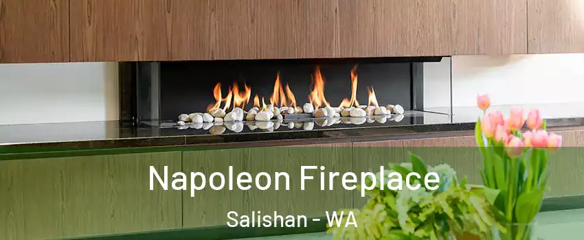 Napoleon Fireplace Salishan - WA