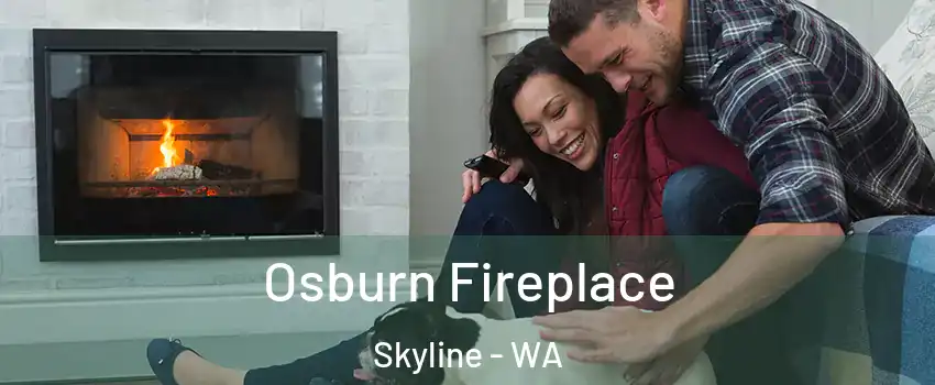 Osburn Fireplace Skyline - WA