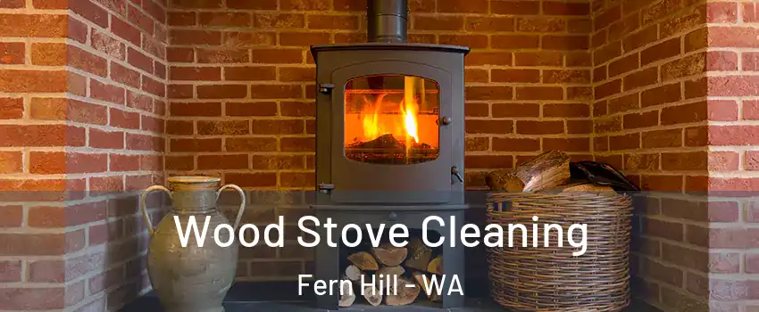 Wood Stove Cleaning Fern Hill - WA